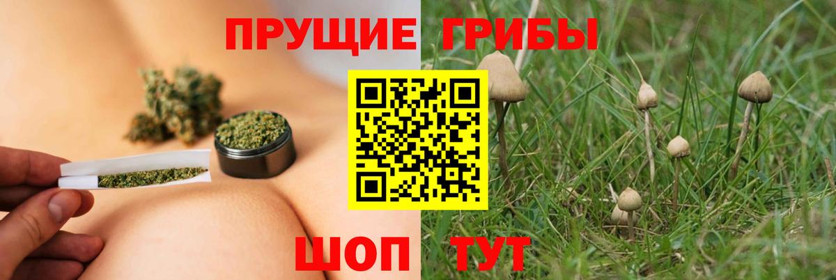 Псилоцибиновые грибы Psilocybine cubensis  Вход с VPN  Нововоронеж  Галлюциногенные грибы MAGIC MUSHROOMS 